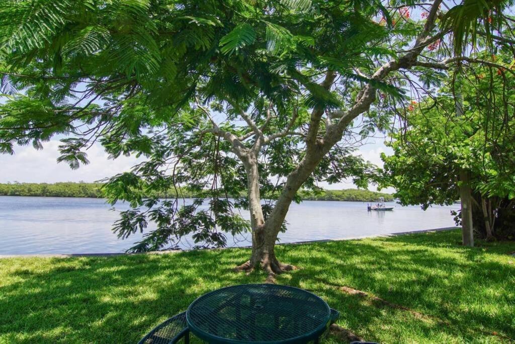 River Delight,Studio109, Beach & Pool Steps Away + Wifi Ruskin Exterior foto